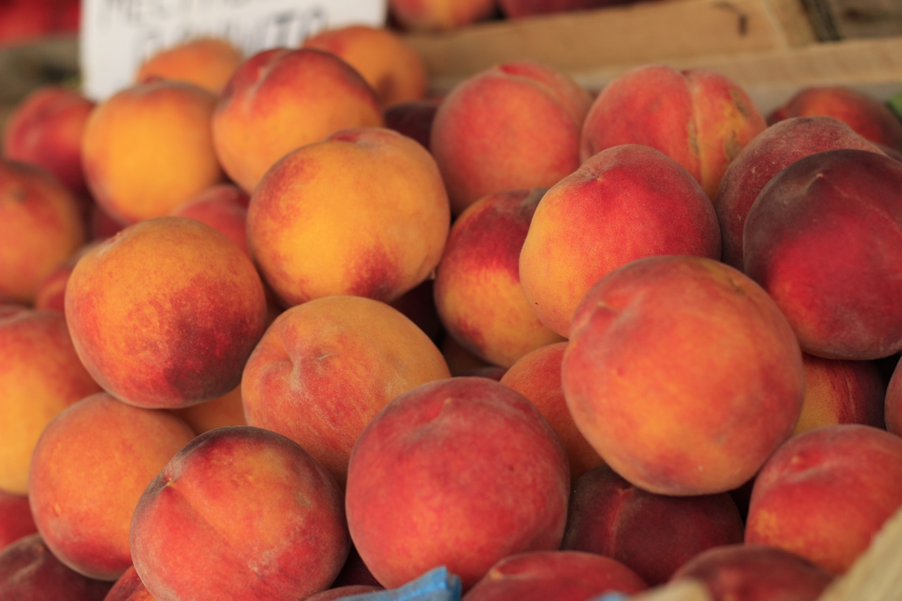 Отдых в сентябре в Алуште: персики 