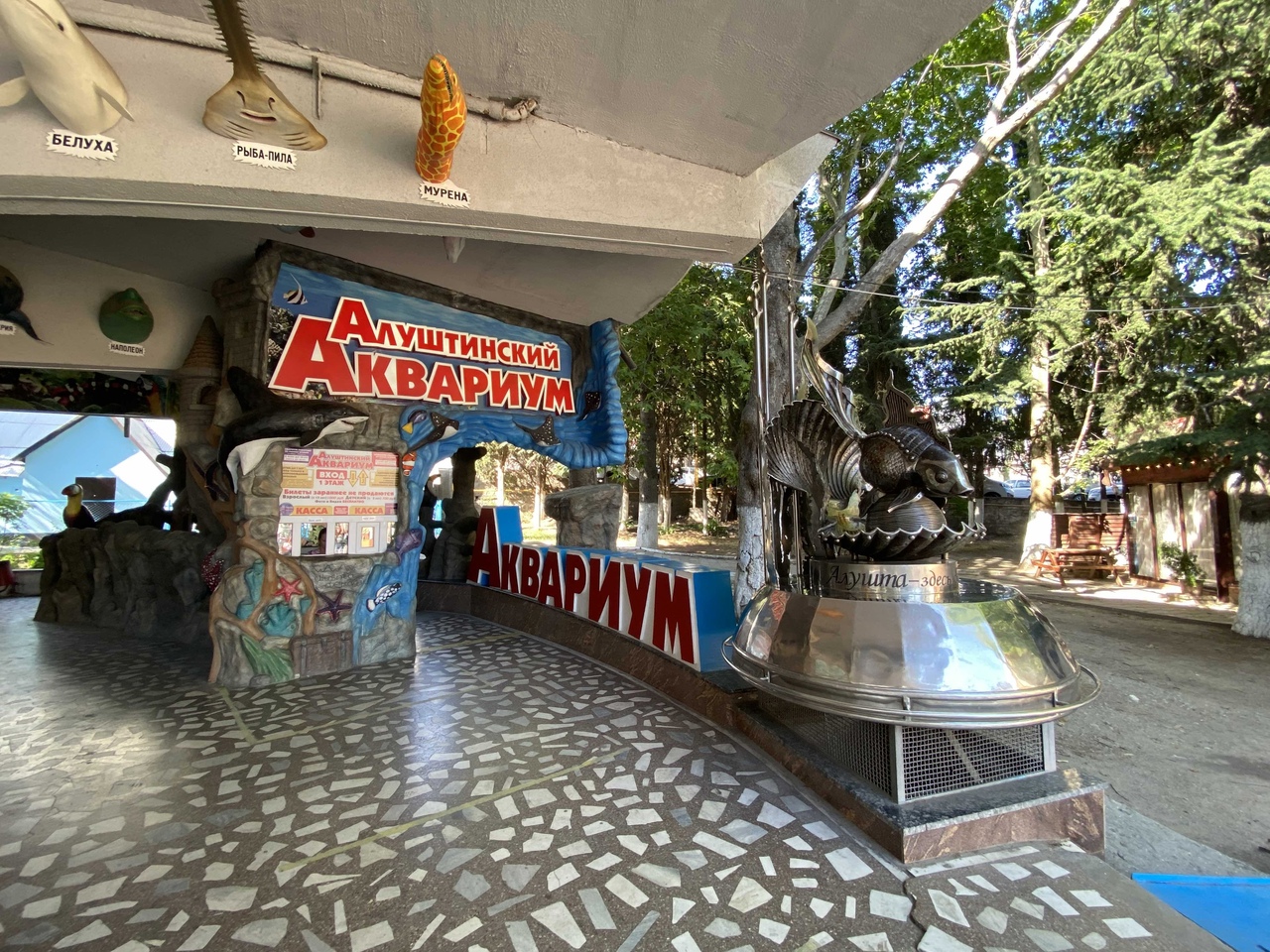 Аквариум в Алуште Отдых с детьми в Алуште: аквариум