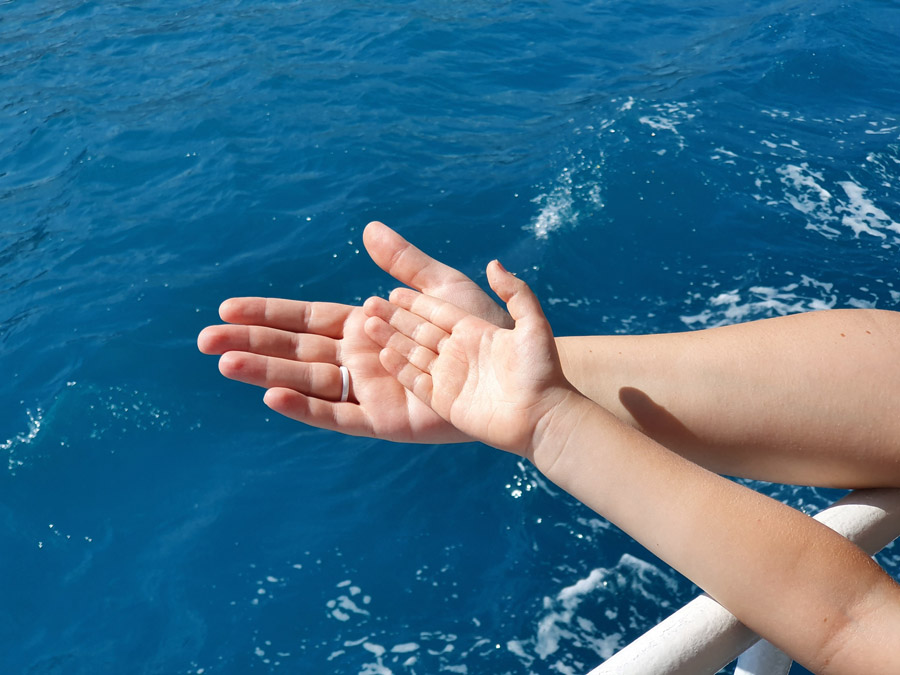 Куда сходить с детьми в Алуште Куда сходить с детьми на отдыхе в Алуште