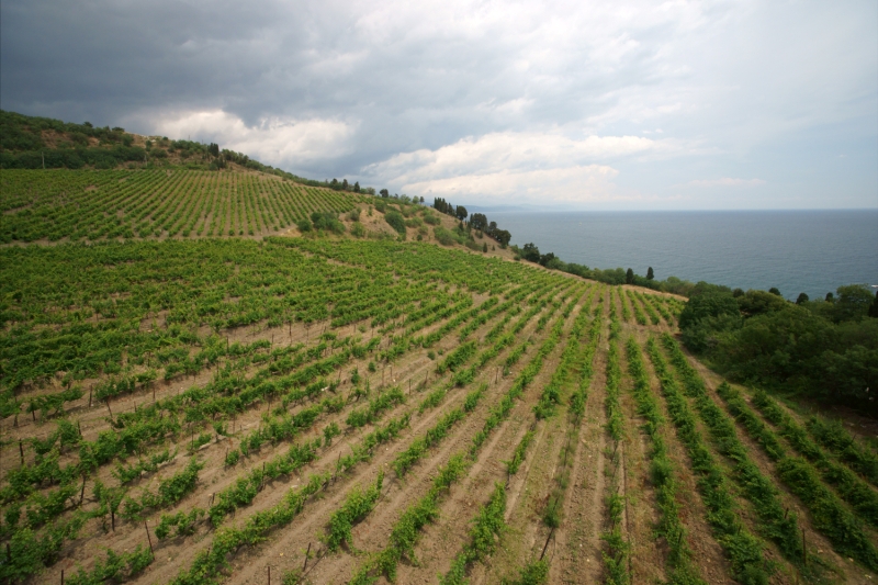 Гостиница “Виола” в Профессорском уголке